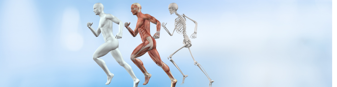 Musculoskeletal imaging